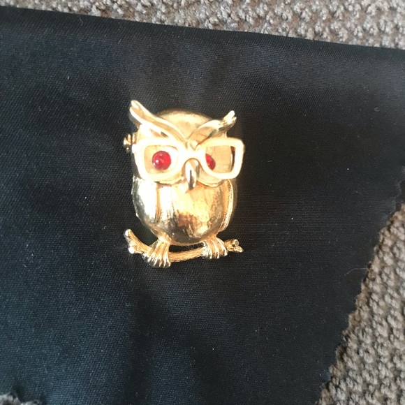 Owl Brooch with moving glasses - Picture 8 of 9